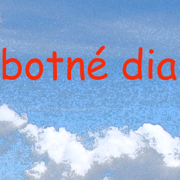 Dosť bolo, ale čoho ?