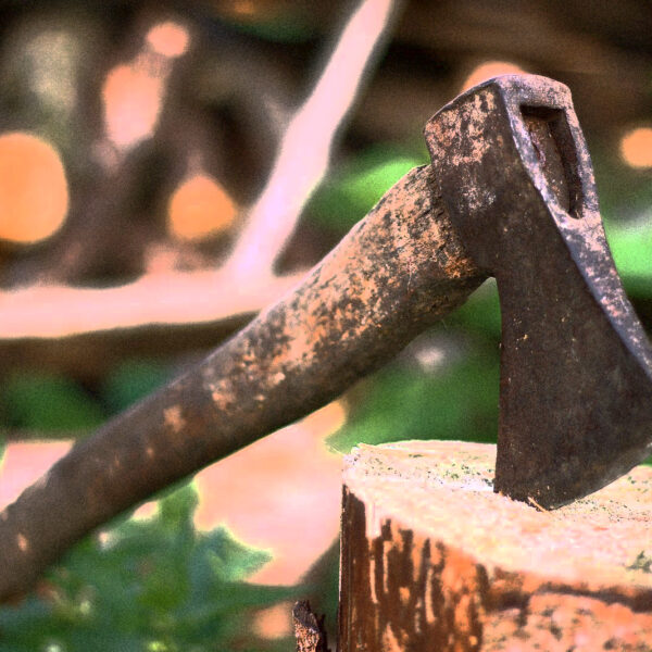 Treba zaťať aj do živého